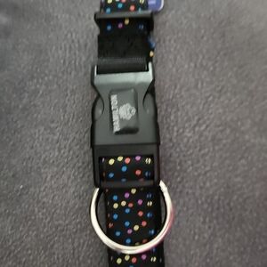 Colorful Polka Dot Dog Collar